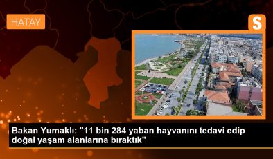 Tarım ve Orman Bakanı: 2023’te 11 bin 284 yaban hayvanı tedavi edilip doğal yaşam alanlarına bırakıldı