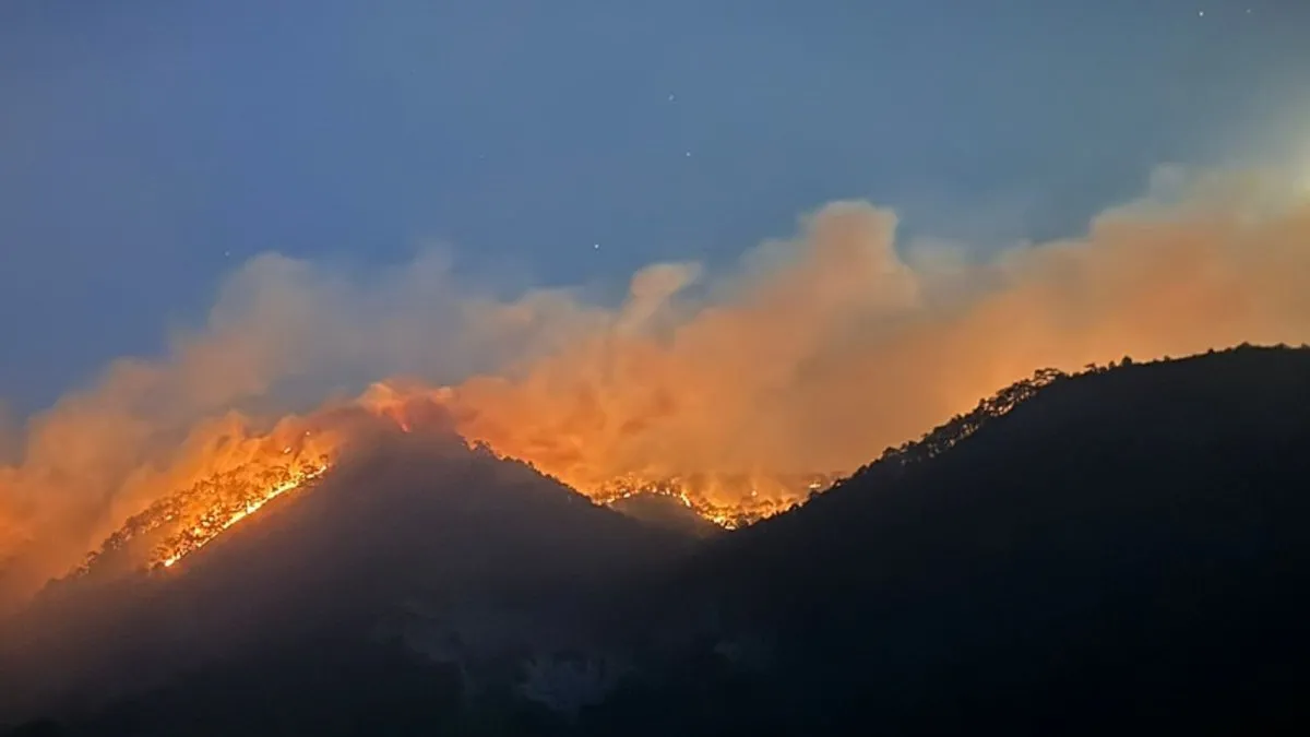 Bolu’daki orman yangınına ilişkin 2 tutuklama