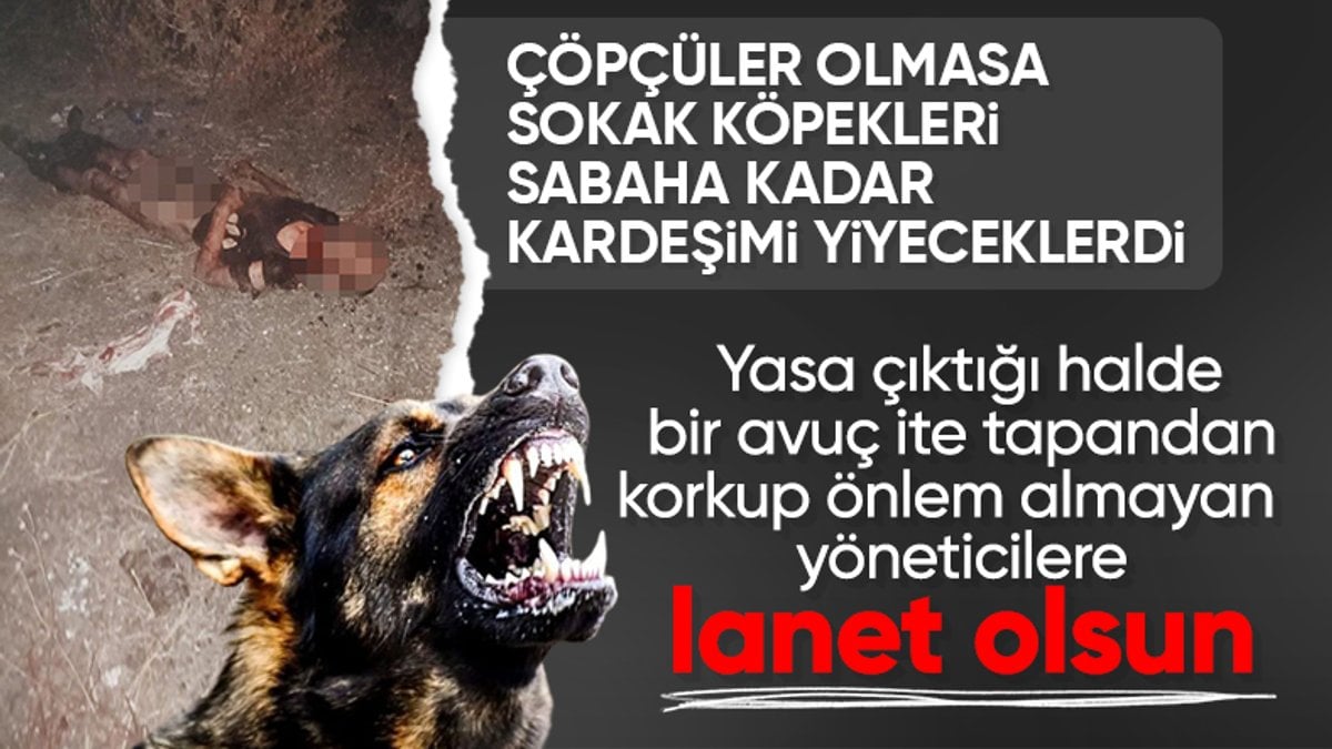 İstanbul’da başıboş köpek saldırısı sonucu hayatını kaybetmişti: Ayhan Özçelik son yolculuğuna uğurlandı