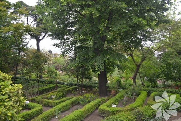 İstanbul’un botanik parkları