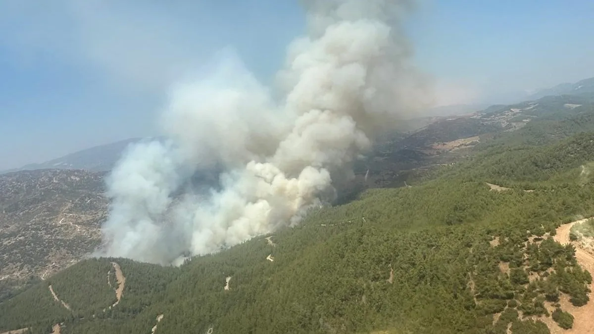 Son dakika: Muğla’daki iki orman yangını rüzgarın etkisiyle büyüyor! Tahliye çağrısı geldi